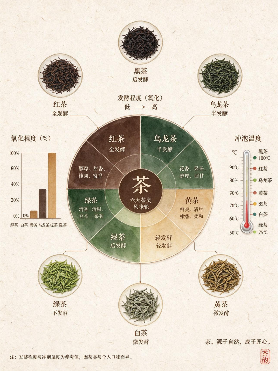 用即梦Ai做一张解释六大茶类的信息图